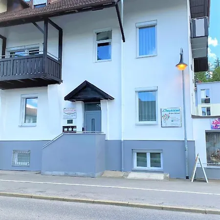 Ferienwohnung Shaki *